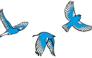 Rsw_700cg_truem Bluebird District on Colfax Avenue Bluebird Haiku Submissions Open March 1-21