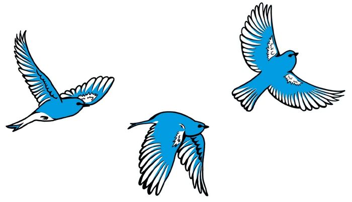 Rsw_700cg_truem Bluebird District on Colfax Avenue Bluebird Haiku Submissions Open March 1-21